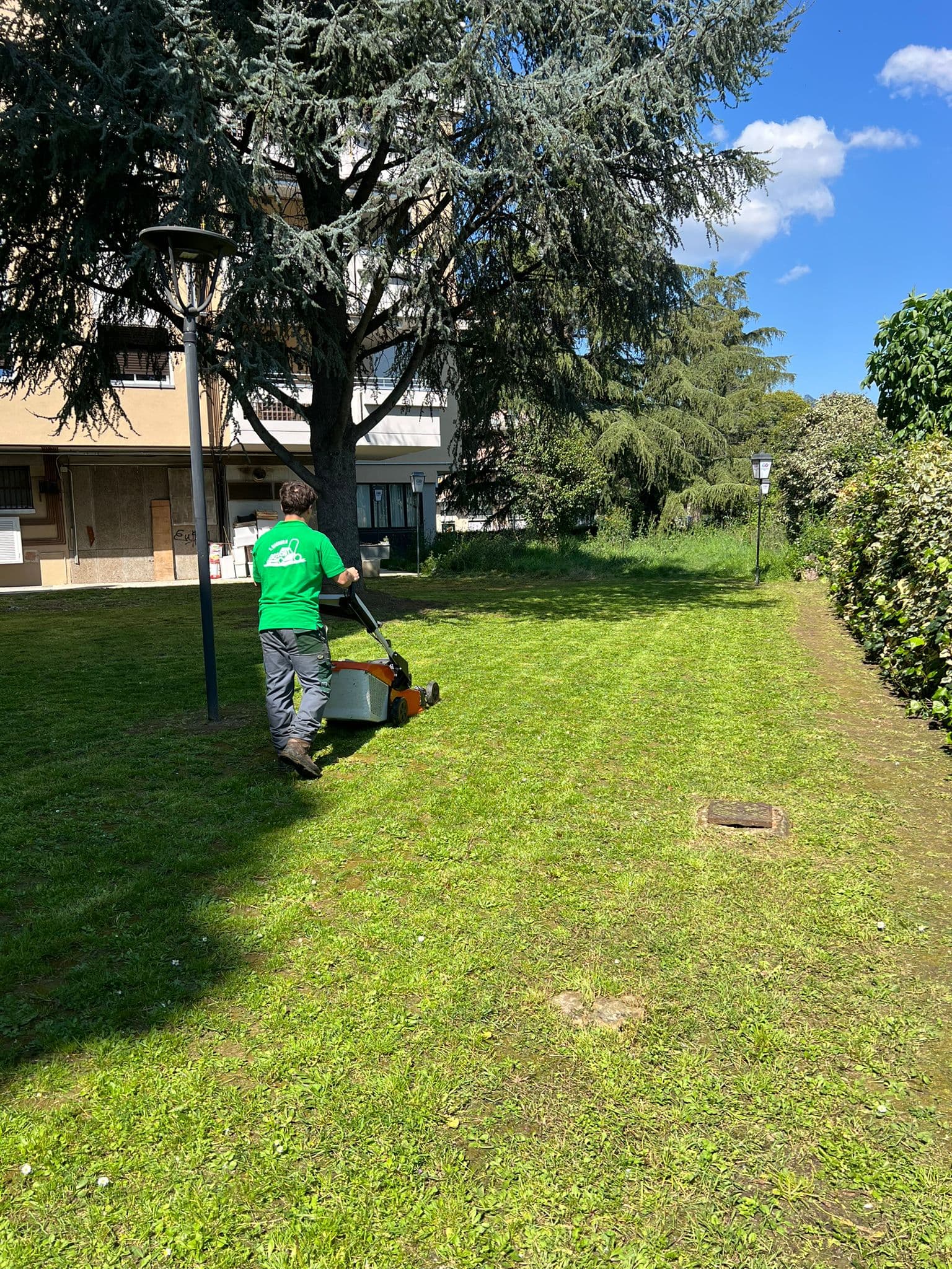 Lavoro professionale di giardinaggio 2