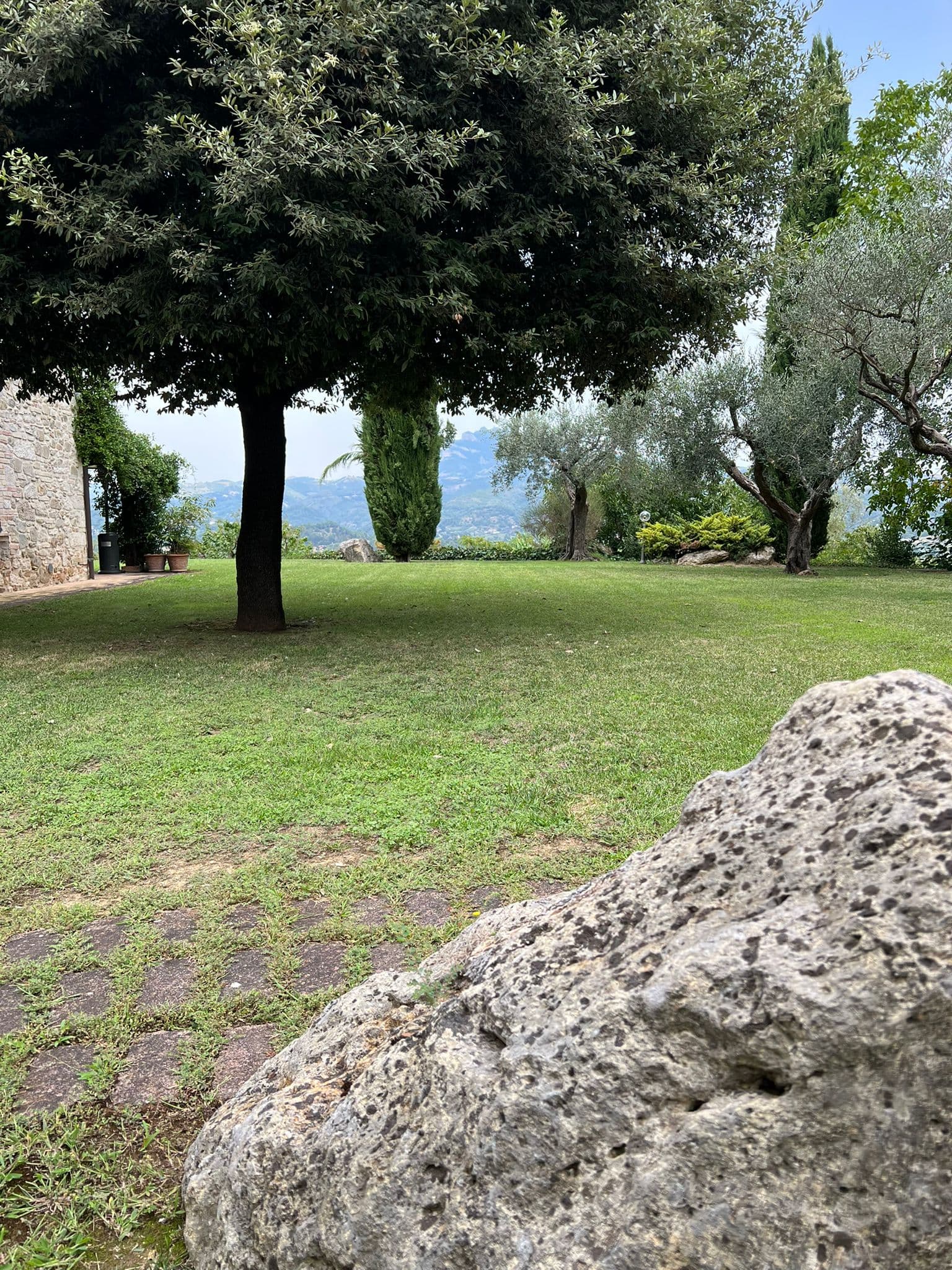 Lavoro professionale di giardinaggio 1