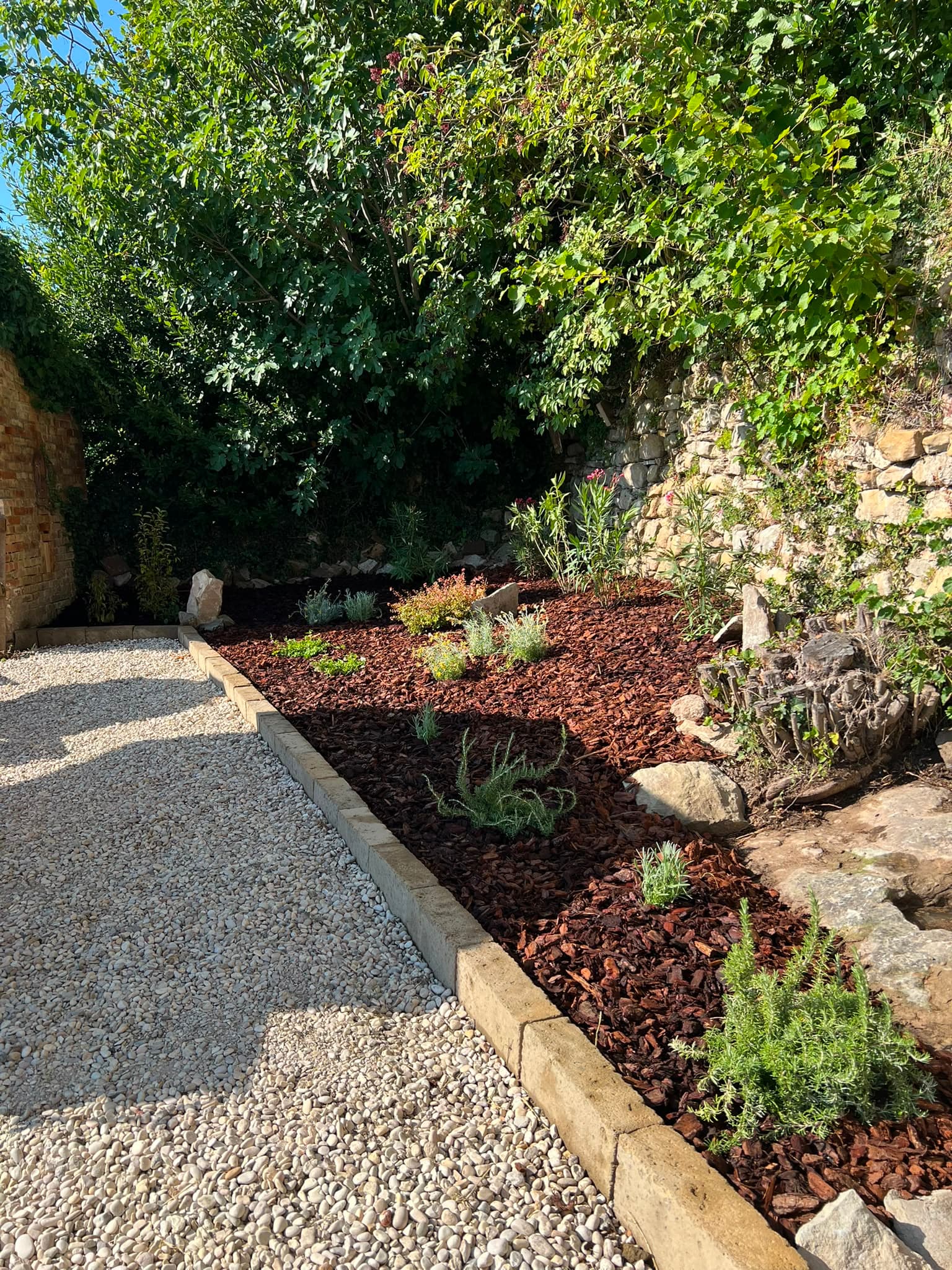 Lavoro professionale di giardinaggio 2