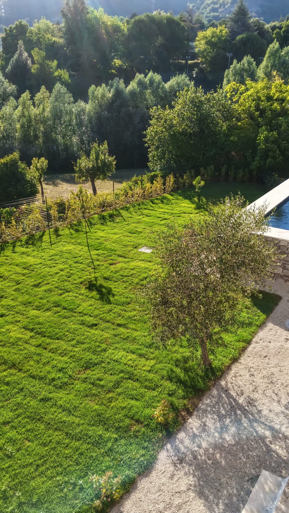 Lavoro professionale di giardinaggio 3