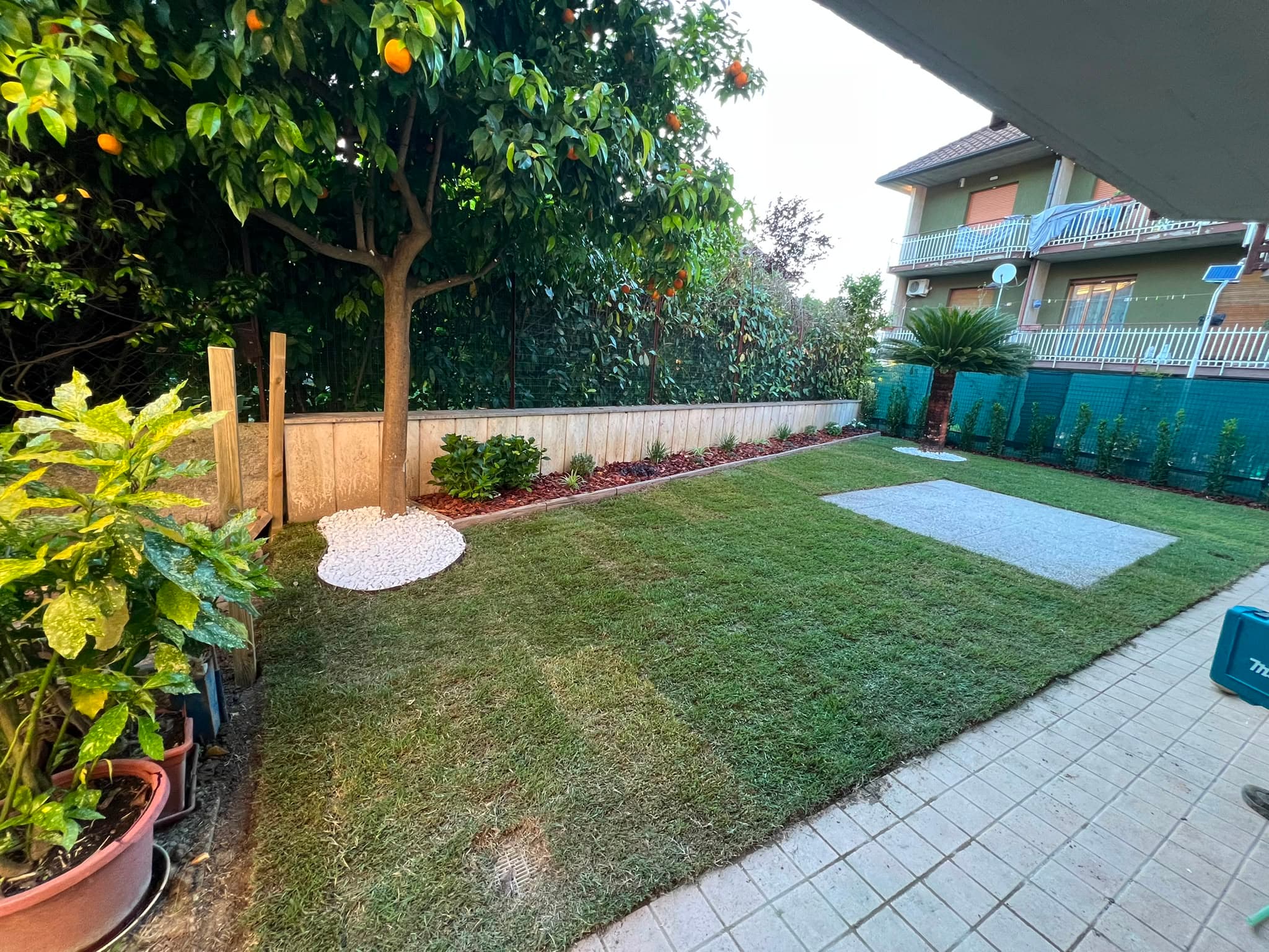 Lavoro professionale di giardinaggio 5