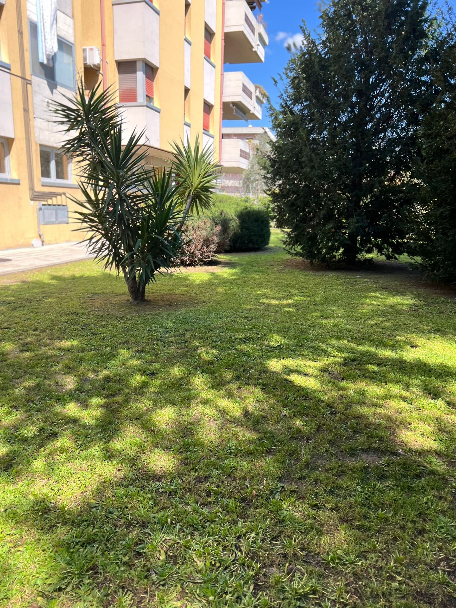 Lavoro professionale di giardinaggio 9